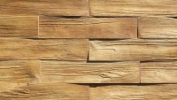 Fasádní obkladové panely - Betonové obklady Stegu TIMBER 1