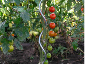 Spirálová tyč na rajčata