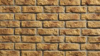 Fasádní obkladové panely - Betonové obklady Stegu RUSTIK 548