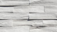 Fasádní obkladové panely - Betonové obklady Stegu TIMBER 2