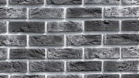 Fasádní obkladové panely - Betonové obklady Stegu COUNTRY 672