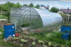 Zahradní skleník z polykarbonátu Covertec Eco+