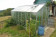 Zahradní skleník Limes Hobby H6